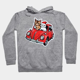 Two cats in a small red car. Hoodie